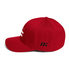 DC Logo - Flex Fit Structured Twill Cap